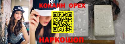 Альфа ПВП Камышлов