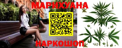 Альфа ПВП Камышлов