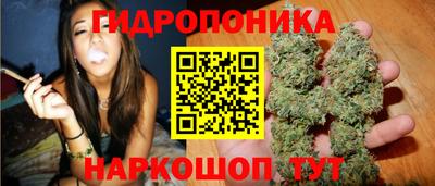 Альфа ПВП Камышлов